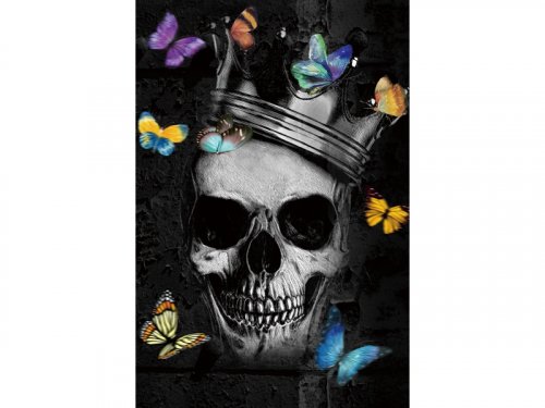 Картина SKULL I 80X120