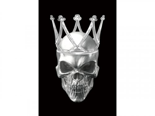 Картина SKULL II 80X120
