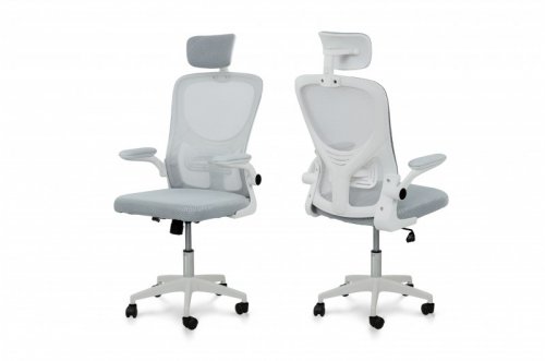 Стілець комп'ютерний Тонус (білий/світло-сірий)
