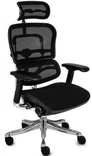 Крісло Ergohuman Plus (EHPE-AB-HAM)