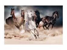Картина HORSES (Коня ) 120X80