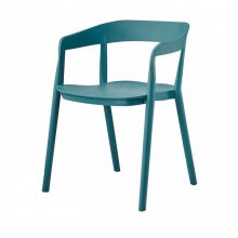 PETUNIA СТІЛЕЦЬ БІРЮЗОВИЙ