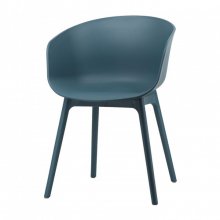 ASTER СТІЛЕЦЬ БІРЮЗОВИЙ