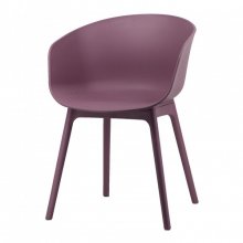 ASTER СТІЛЕЦЬ БУЗКОВИЙ