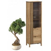 HELIX вітрина 1d1w права дуб evok 