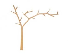 POPRAD Полку начіпна
розмір 220/15x255
колір сосна й горіх