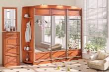 ПРЕМІУМ Передпокій ВТ-4028
розмір 245х244х47 см
колір вільха, венге, дуб, горіх