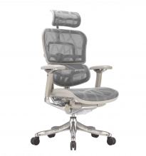 Крісло Ergohuman Luxury Plus Grey EHPL-AG-HAM