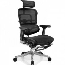 Крісло Ergohuman Plus (EHPE-AB-HAM-LM)