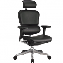 Крісло Ergohuman Plus шкіра