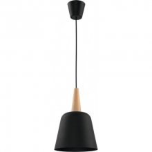 Підвісний світильник TK Lighting Dong Wood 1590 