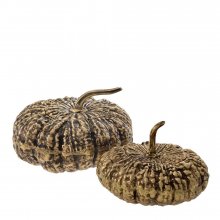 Box Citrouille set of 2