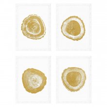 Prints Gold Foil: Tree Rings set of 4